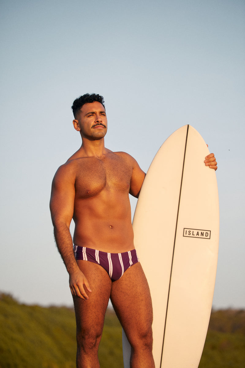 Blackberry Purple Stripes Swim Brief
