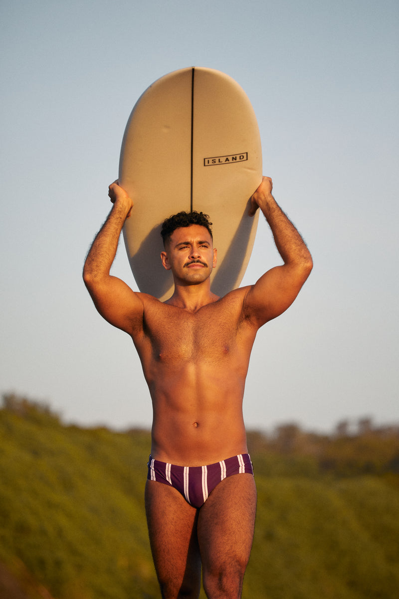 Blackberry Purple Stripes Swim Brief