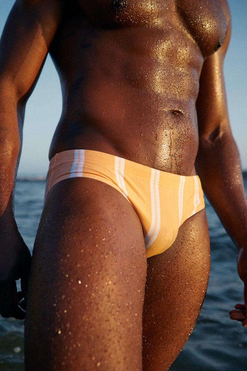 Derby Tan Stripes Swim Brief
