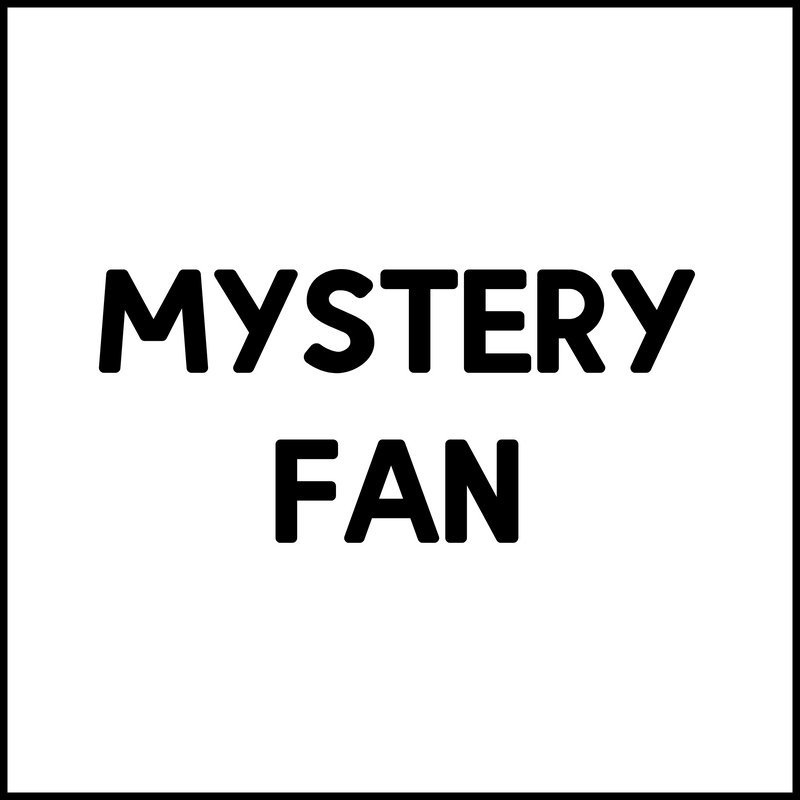 Mystery Party Fan