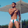 Earthy Stripes Swim Brief