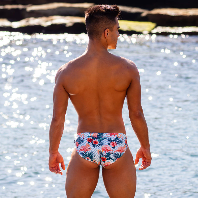 Flaming Flamingos Swim Brief