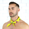 Casual Cactus Bandana - Rude Rainbow Gay Party Summer